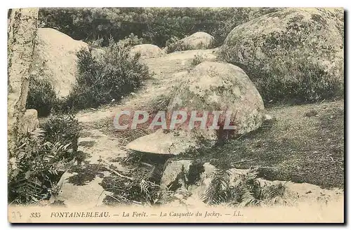 Ansichtskarte AK Fontainebleau la Foret la Casquette du Jockey