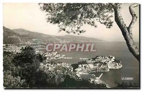 Cartes postales Principaute de Monaco Le rocher Monte Carlo et l'Italie