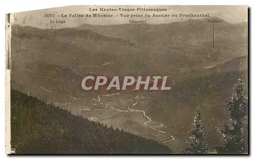 Cartes postales Les Hautes Vosges pittoresque la vallee de Muster vue prise du Sentier du Frankenthal