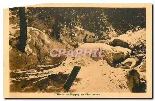 Cartes postales L'Hiver au Sappey en Chartreuse