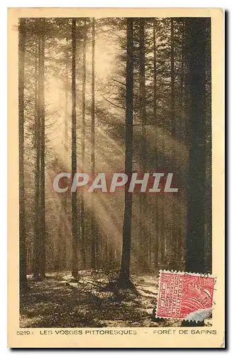 Cartes postales Les Vosges Pittoresque Foret de Sapins