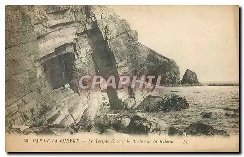 Ansichtskarte AK Cap de la Chevre le Temple Grec et le Rocher de la Baleine