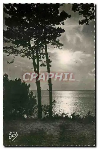 Cartes postales Bassin d'Arcachon Gironde Coucher de Soleil sur le Bassin