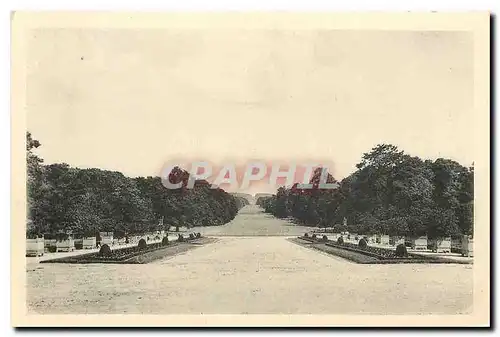 Ansichtskarte AK Chateau de Compiegne l'Avenue des Beaux Monts