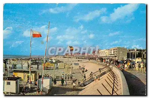 Cartes postales Berck Plage P de C La Digue la Plage et l'esplanade