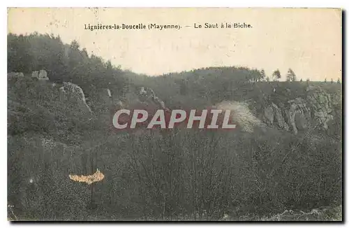 Cartes postales Lignieres la Doucelle Mayenne Le Saul a la Biche