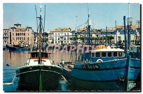 Moderne Karte Saint Jean de Luz Le Port et Maison de l'Infante Bateaux de peche