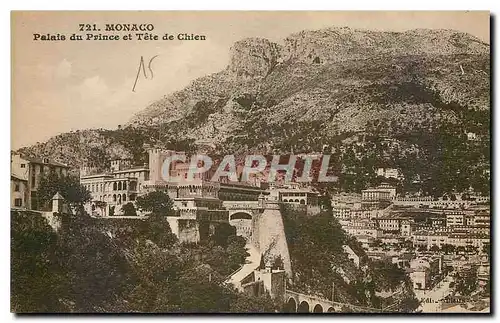 Cartes postales Monaco Palais du Prince et Tete de Chien