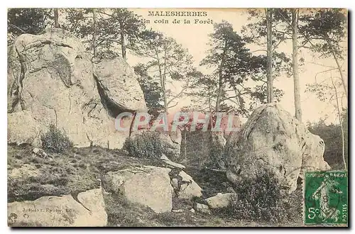 Cartes postales Malesherbes un coin de la Foret