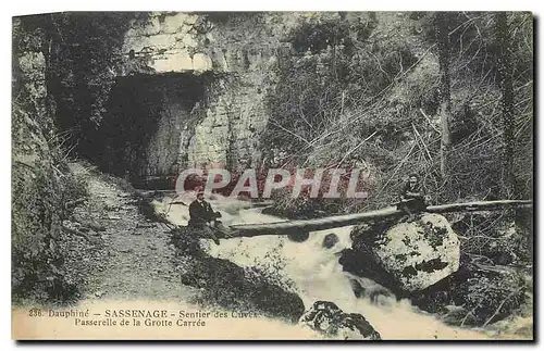 Ansichtskarte AK Dauphine Sassenage Sentier des Cuves Passerelle de la Grotte Carree