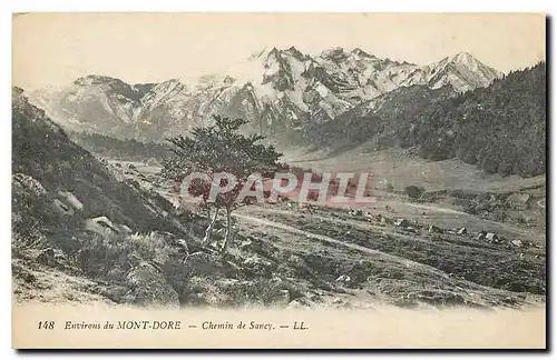 Ansichtskarte AK Environs de Mont Dore Chemin de Sancy