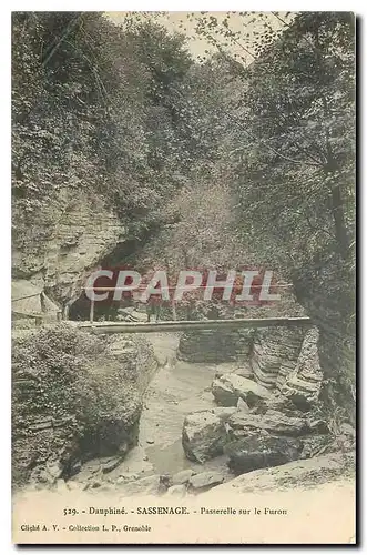 Cartes postales Dauphine Sassenage Passerelle sur le Furon