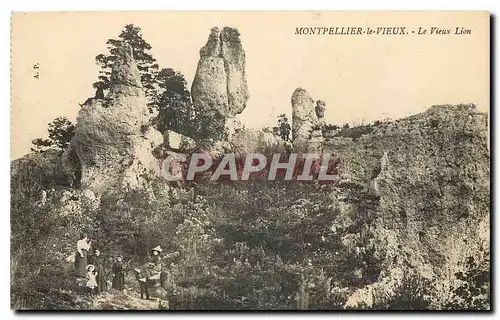 Cartes postales Montpellier le Vieux le Vieux Lion