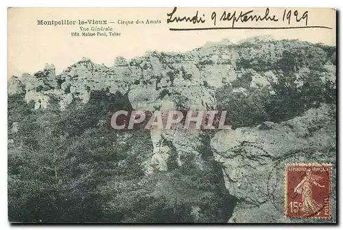 Cartes postales Montpellier le Vieux Cirque des Amais vue generale