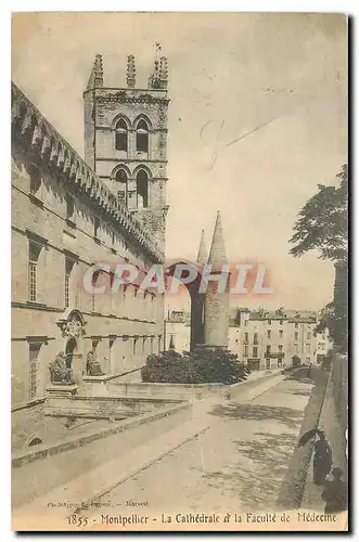 Ansichtskarte AK Montpellier la Cathedrale et la Faculte de Madecine