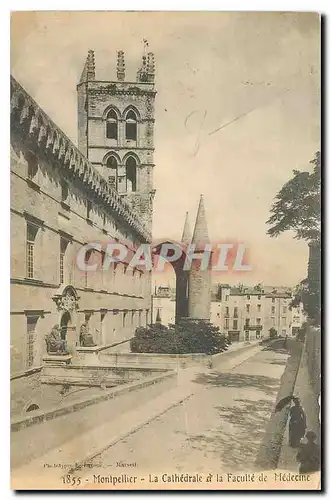 Cartes postales Montpellier la Cathedrale et la Faculte de Madecine