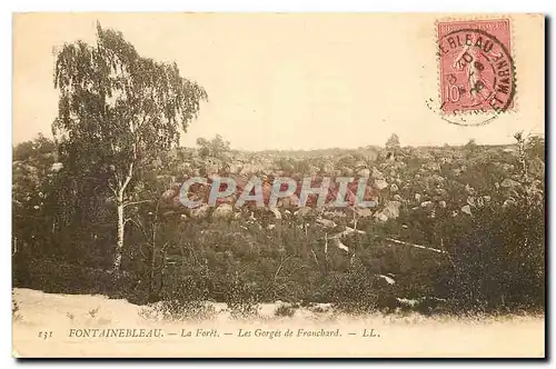 Cartes postales Fontainebleau la Foret les gorges de Franchard