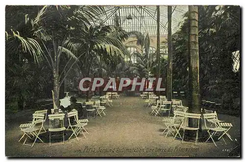 Cartes postales Paris Jardin d'acclimatation Une serre au palmarium