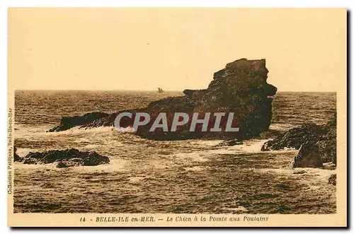 Ansichtskarte AK Belle Ile en Mer Le Chien a la Pointe aux Poulains