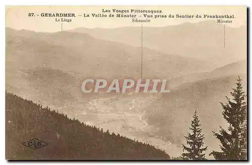 Cartes postales Les Vosges Pittoresques Gerardmer La Vallee de Munster Vue prise du Sentier du Frankenthal