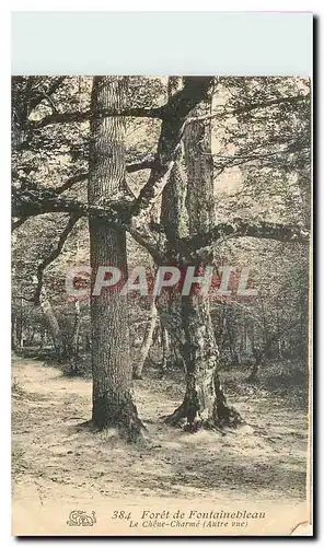 Cartes postales Foret de Fontainebleau Le Chene Charme Autre vue