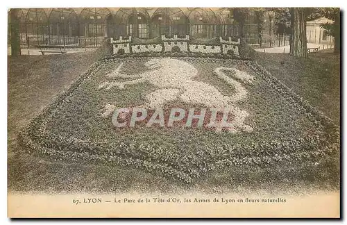 Cartes postales Lyon Le Parc de la Tete d'Or les Armes de Lyon en fleurs naturelles