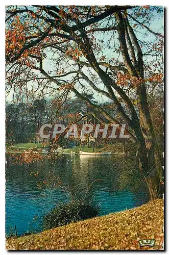 Cartes postales Paris le Bois de Boulogne Paysage d'Automne au bord du Lac