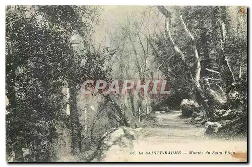 Cartes postales La Sainte Baume Montee du Saint Pilon