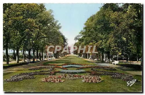 Cartes postales La Rochelle Ch Mme Allee du Mail