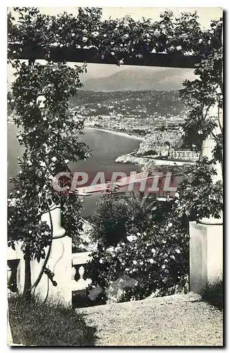 Ansichtskarte AK La Cote d'Azur Nice entre les fleurs