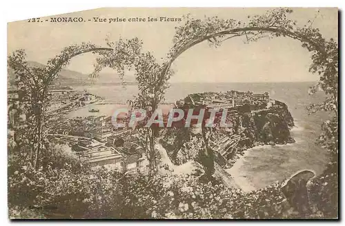 Cartes postales Monaco Vue prise entre les Fleurs