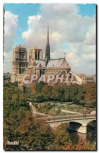 Cartes postales Paris Notre Dame et les jardins de l'Eveche