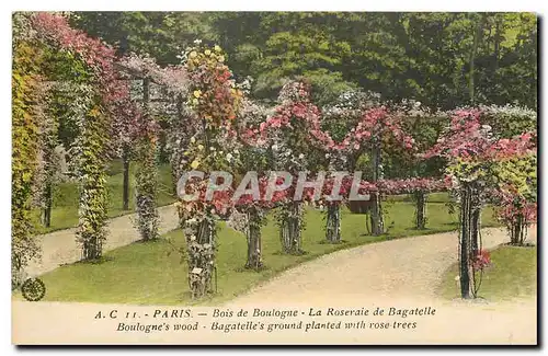 Cartes postales Paris Bois de Boulogne la Roseraie de Bagatelle