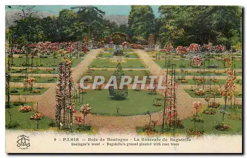 Ansichtskarte AK Paris Bois de Boulogne la Roseraie de Bagatelle