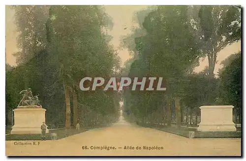 Cartes postales Compiegne Allee de Napoleon