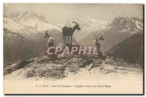 Ansichtskarte AK Sur les Sommets Aiguille Verte et le Mont Blanc Chevres Chevre