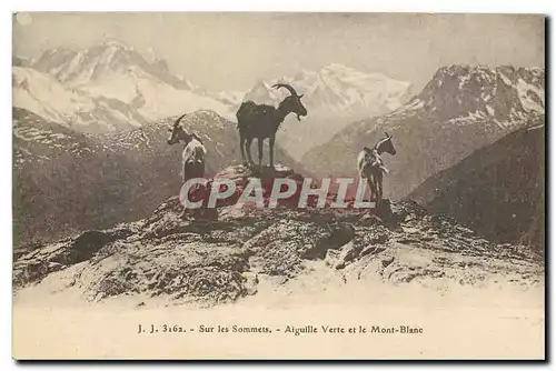 Cartes postales Sur les Sommets Aiguille Verte et le Mont Blanc Chevres Chevre