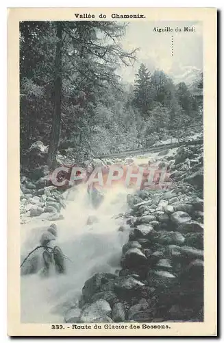 Cartes postales Valee de Chamonix Route du Glacier des Bossons