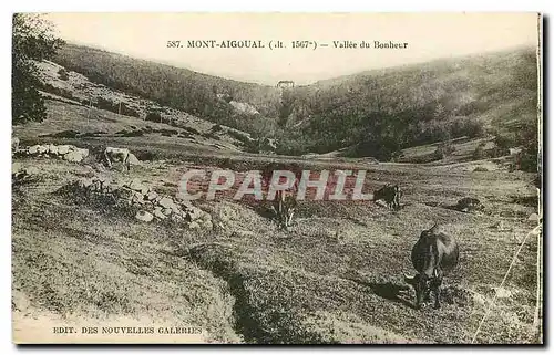 Cartes postales Mont Aigoual Vallee du Bonheur Vaches