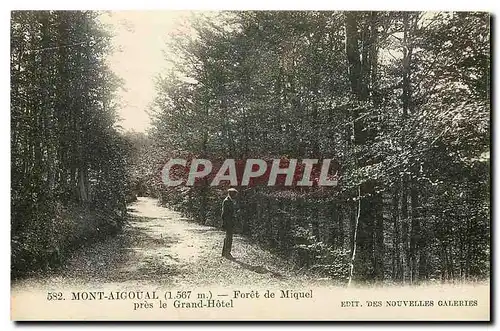 Cartes postales Mont Aigoual Foret de Miquel pres le Grand Hotel