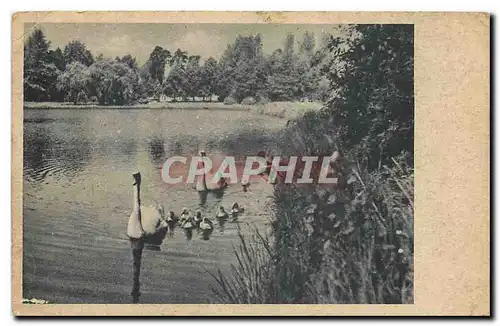 Cartes postales Berlin Hermsdorf am Waldsee