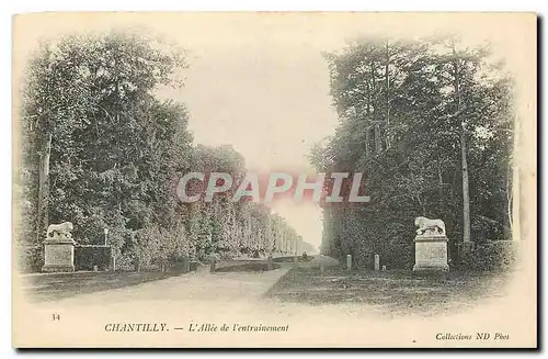 Cartes postales Chantilly l'Allee de l'entrainement