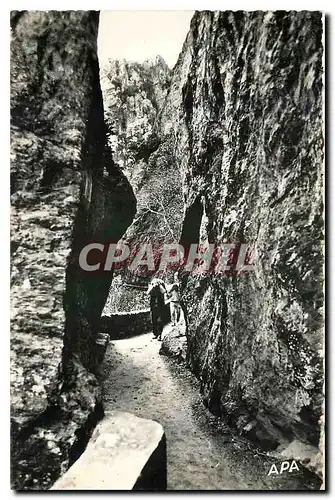 Ansichtskarte AK Amelie les Bains Pyr Or Gorges du mondonu Rocher Castellane