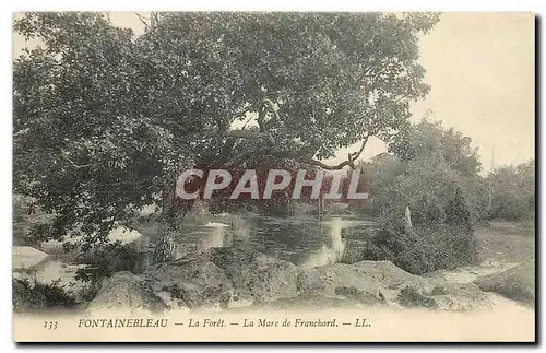 Cartes postales Fontainebleau La Foret La Mare de Franchard