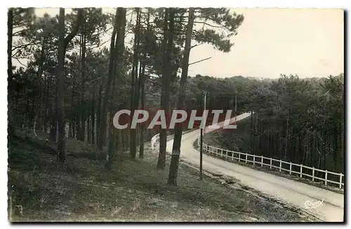 Cartes postales Carcans Plage Gironde Route vers l'Ocean