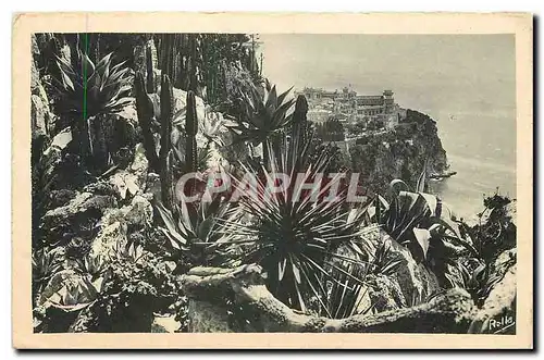 Cartes postales Monte Carlo les Jardins exotiques et le rocher de Monaco