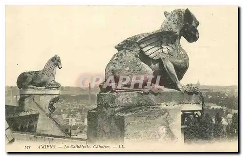 Cartes postales Amiens la Cathedrale Chimeres