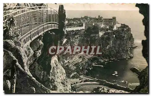 Cartes postales Monaco le Rocher de Monaco et le Stade Louis II vue prise du Jardin exotique