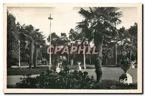 Cartes postales La Baule les pins la place des palmiers