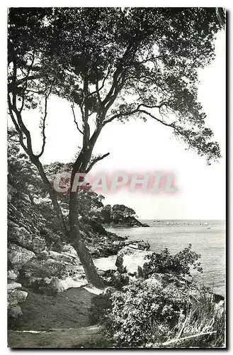 Ansichtskarte AK Noirmoutier Vendee anse rouge et entree de la grotte St Philibert Bateau